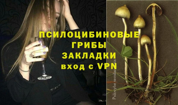 ГАЛЛЮЦИНОГЕННЫЕ ГРИБЫ Нефтекумск