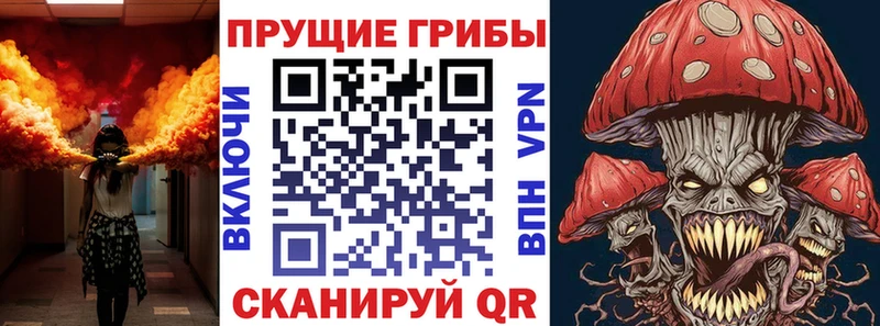 Купить где  Хилок  Псилоцибиновые грибы Psilocybe 