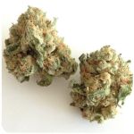 Шишки "White Widow"  (Белая вдова)  Гидропоника -  Бошка VHQ в Хилке